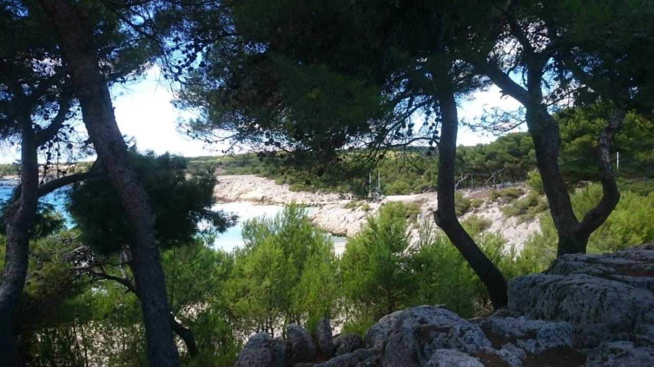 Appartement Vue Mer Le Chant Des Cigales Sausset-les-Pins Exterior photo